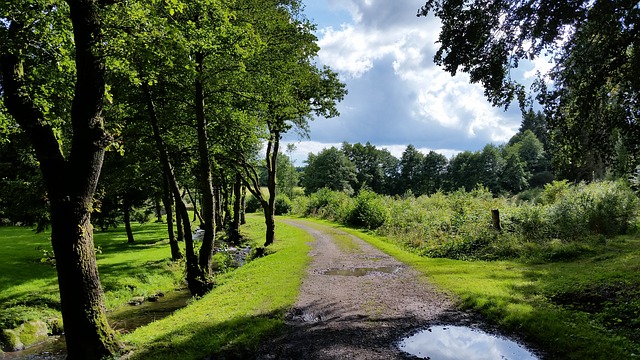 BELGIQUE